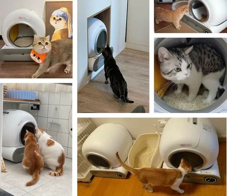 Автоматический умный лоток туалет для кошек с Wi-Fi