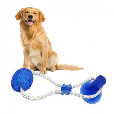 Игрушка для собак канат на присоске с мячом, устройство для чистки зубов