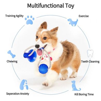 Іграшка для собак канат на присоску з м'ячем, пристрій для чищення зубів